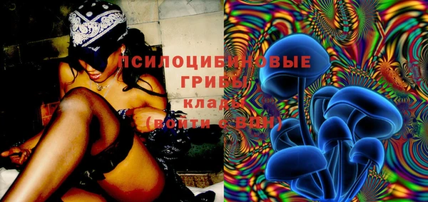 бошки Богородицк