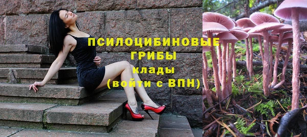 мяу мяу мука Богданович