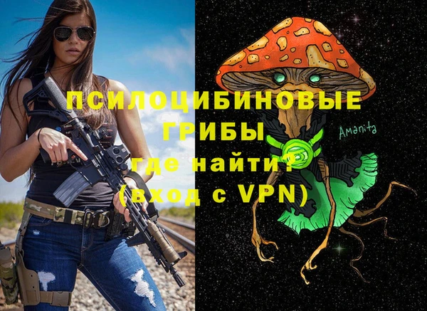 бошки Богородицк