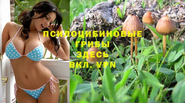 ALPHA PVP Богородск