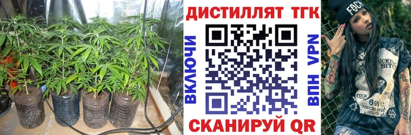 ссылка на мегу вход  Новокубанск  ТГК гашишное масло 