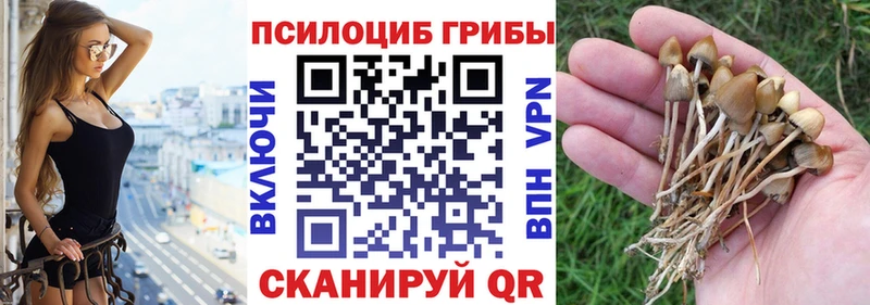 наркота  Новокубанск  Галлюциногенные грибы Magic Shrooms 