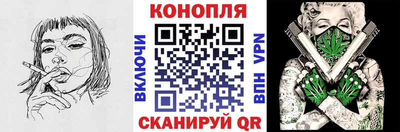 сайты даркнета клад Новокубанск Конопля сатива где можно купить наркотик